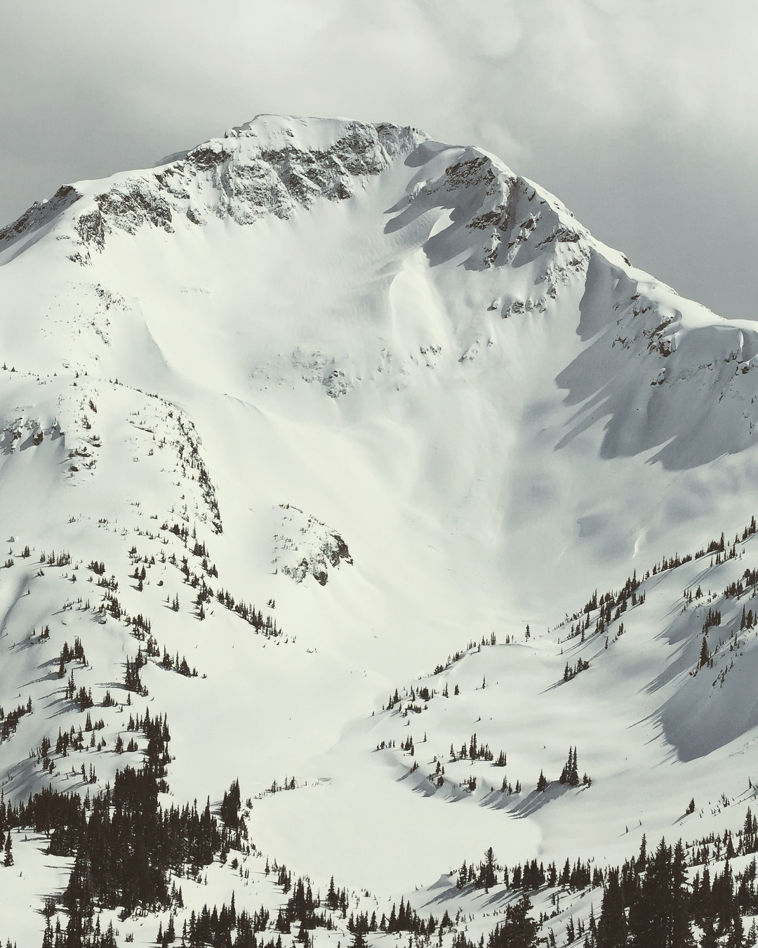 Duke, a snow capped mountain top.