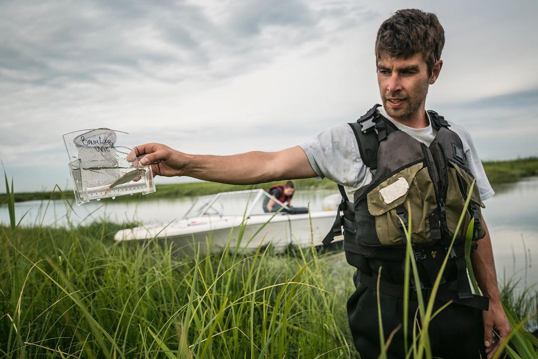 David Scott holds a salmon fry out for us to see, on the Fraser River estuary.