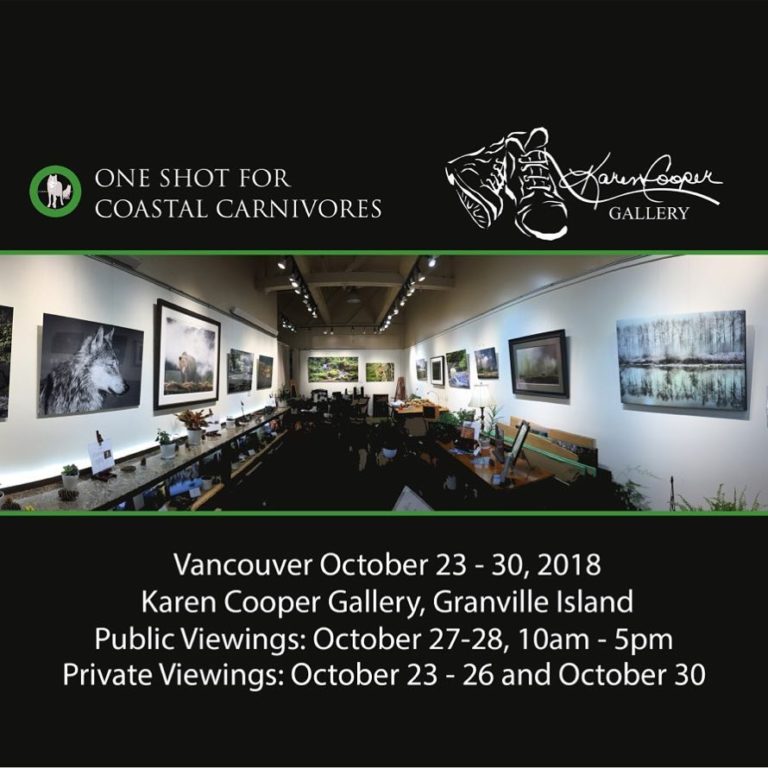 Last public viewing opportunity for the One Shot for Coastal Carnivores Exhibit at the Karen Cooper Gallery