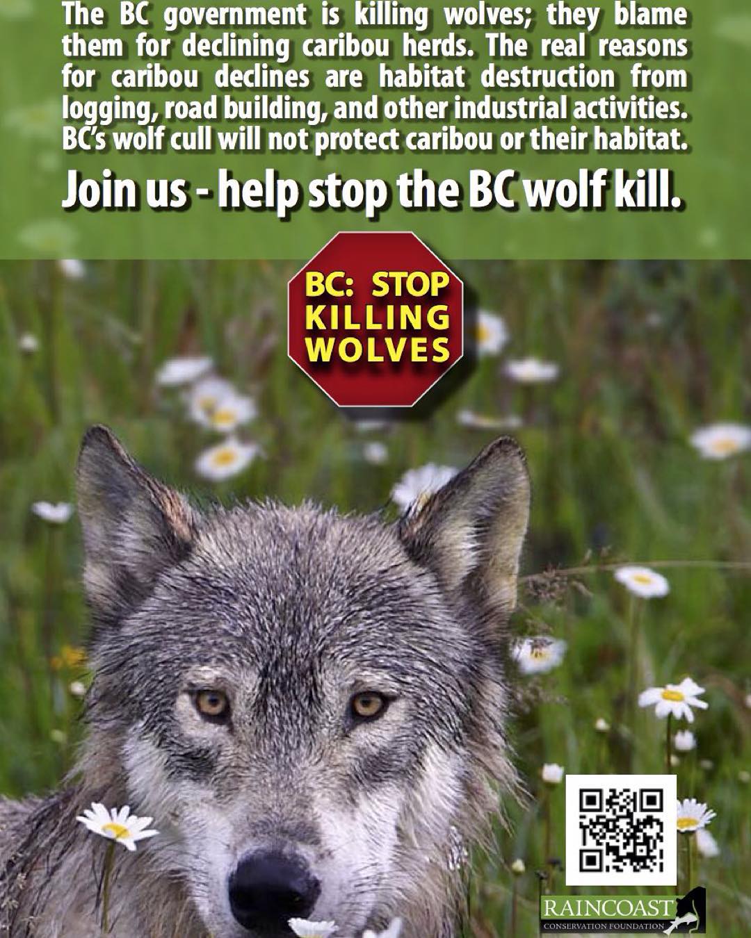Advertisement poster by Raincoast Conservation against BC government culling wolves