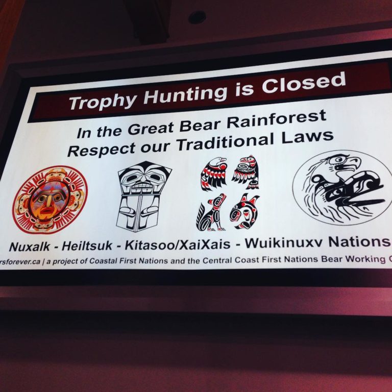 Trophy hunting is closed