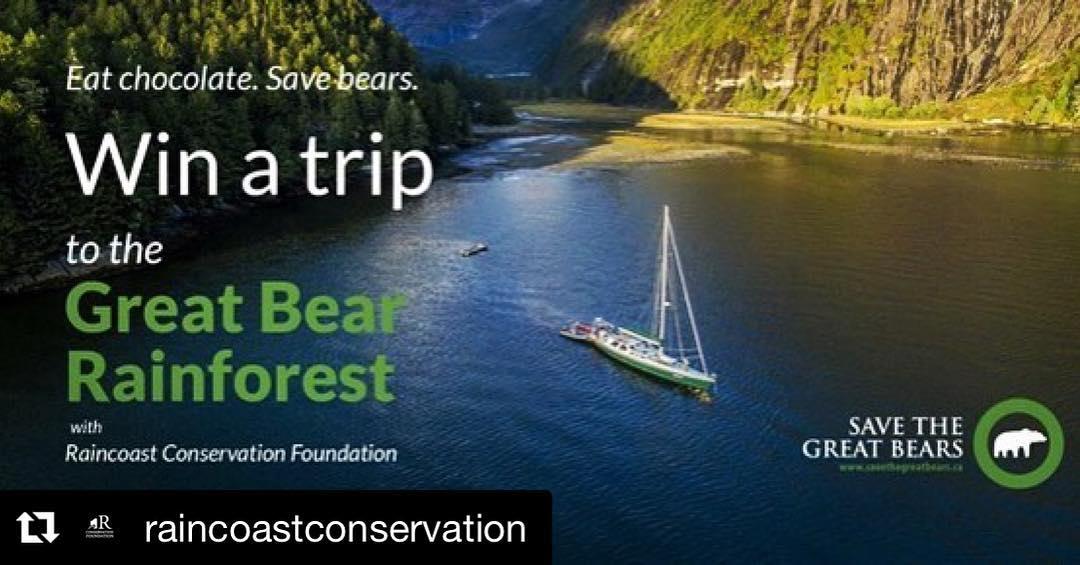 A sailboat on calm water with text over top saying "win a trip to the great bear rainforest. Eat chocolate save bears."
