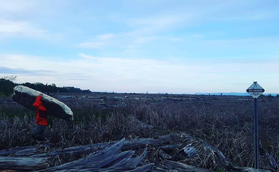 Person carrying away a big piece of driftwood mid range in the photograph