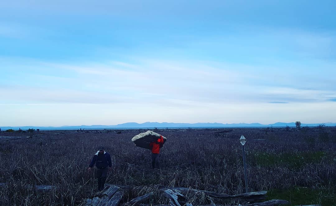 Person carrying a big piece of driftwood under a blue sky
