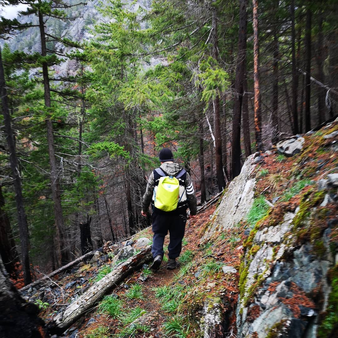 Person with a yellow backpack hiking through a forest on a mountain slope