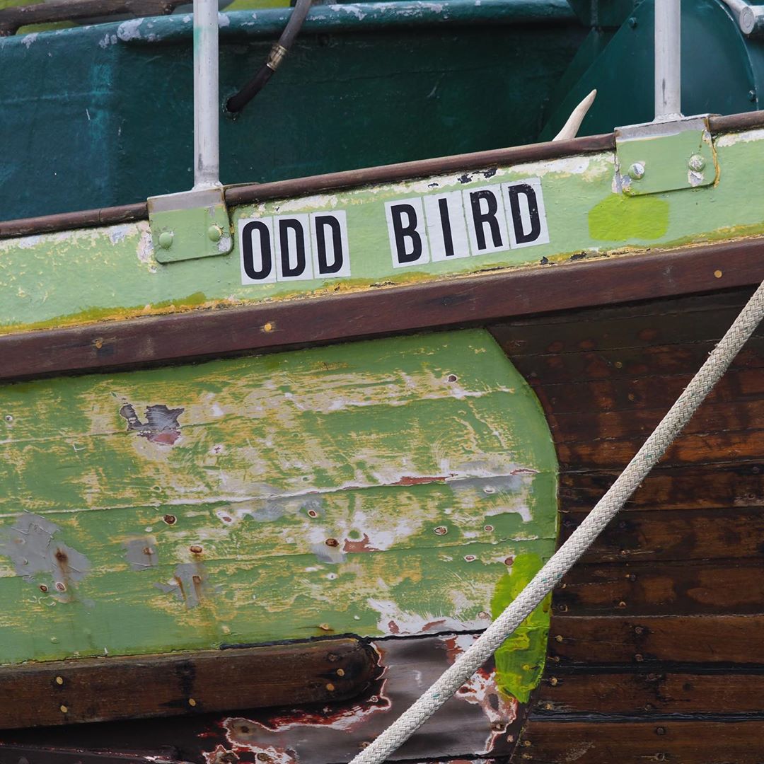 'Odd Bird' written on green painted wooden beam