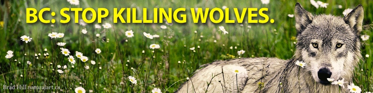BC: Stop killing wolves.