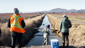 The Healthy Waters team conducting water quality testing in Chilliwack, BC. One team member, wearing waders, is walking into a ditch, while two others stand behind, with a cooler - the one on the left is ready to record notes.