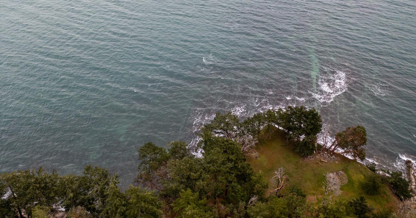Aerial view of the ocean on the rocks and grasses and forest of the Gulf Islands.