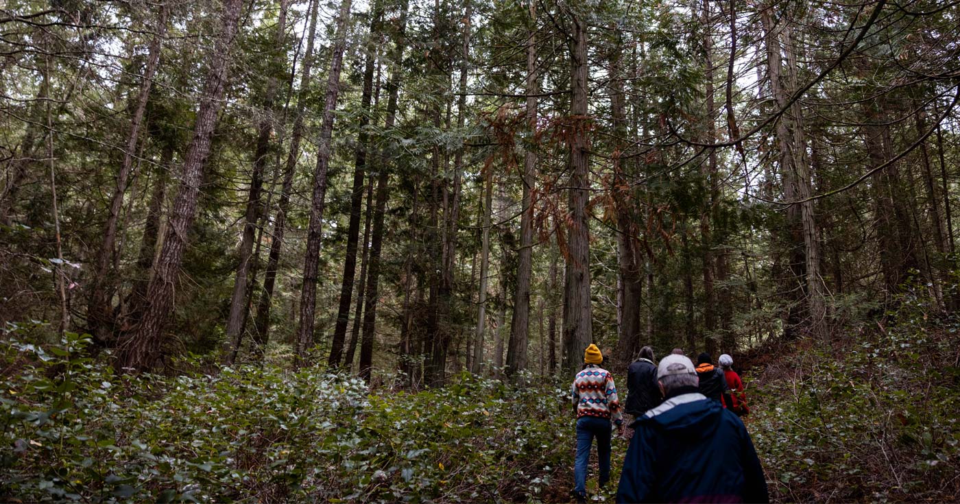 A small team of Raincoasters and partners walk through a forest in the Gulf Islands.
