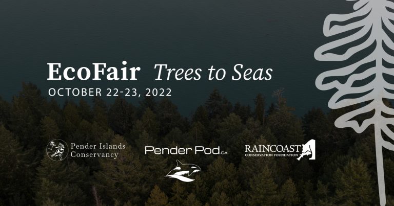 Trees to Seas EcoFair is quickly approaching!