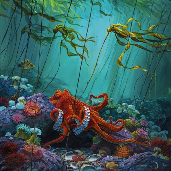 An brilliant colourful rendering of an octopus emerging from its den.